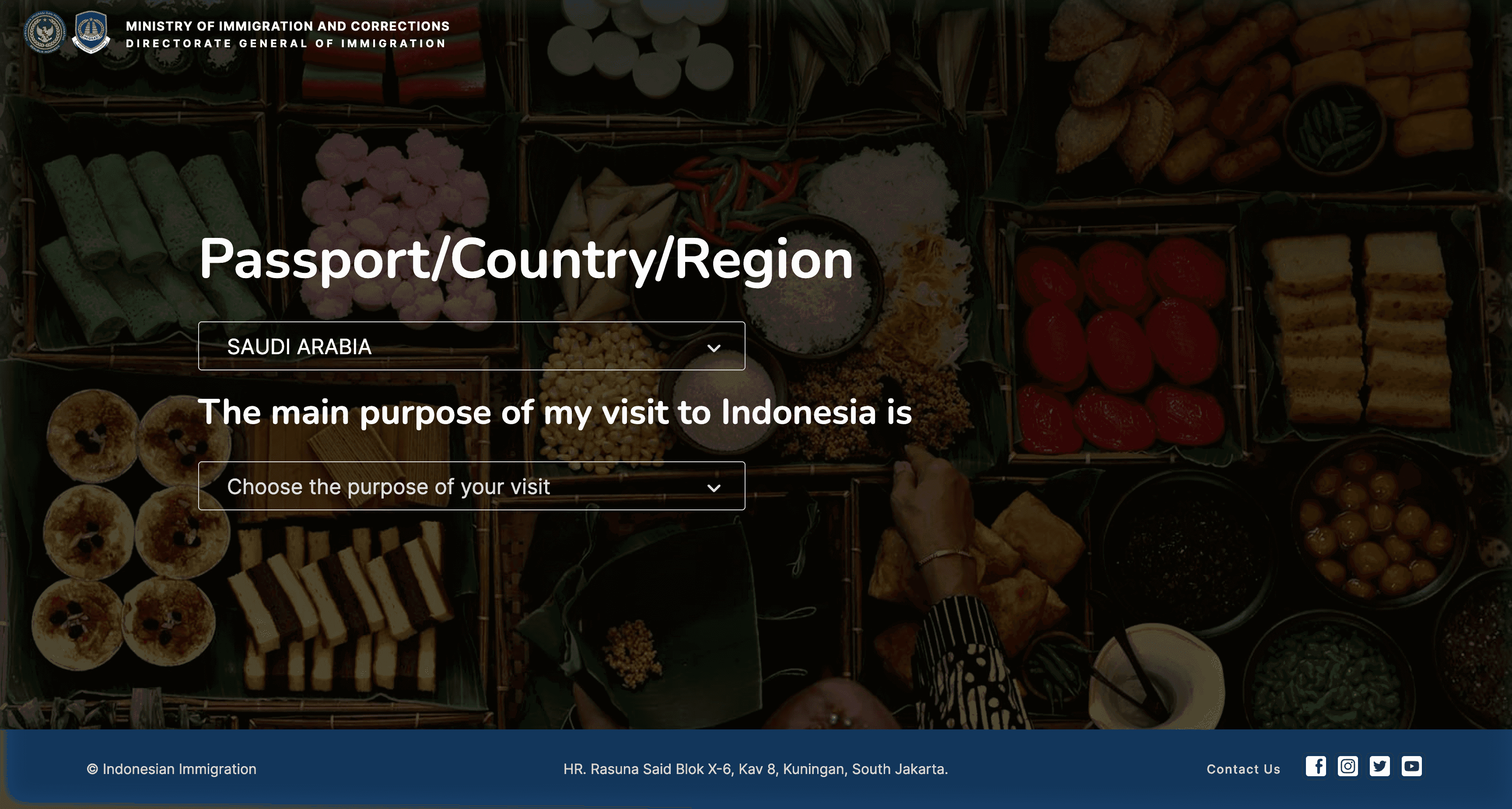 اختيار الجنسية والغرض من الزيارة