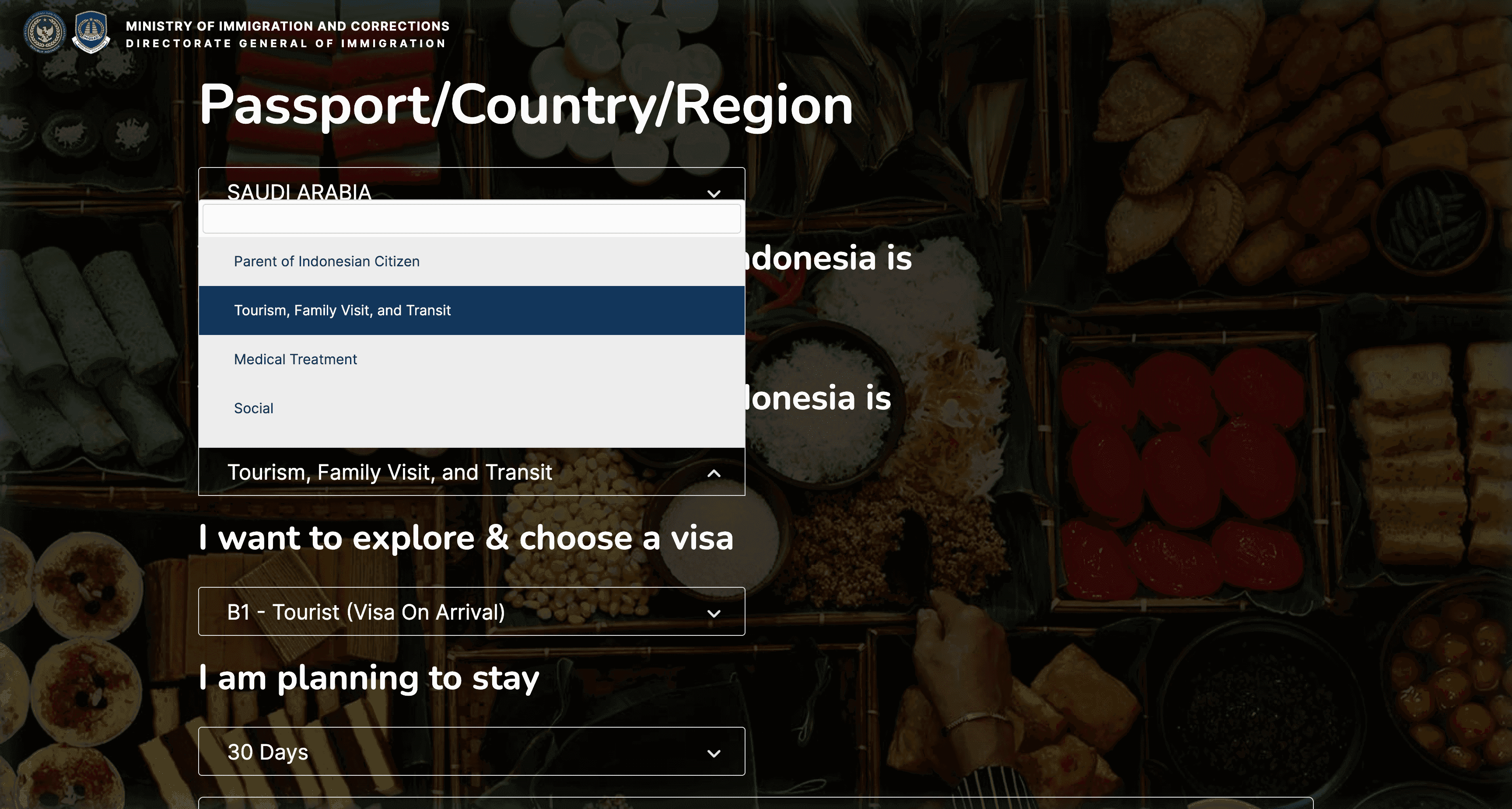 اختيار نوع التأشيرة